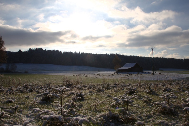 WINTERWELT